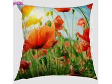 00274 ����� ����.jpg