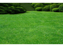 ���������� ����� ��� ����� �������� 1�� (7��) ��� 00097410 359,70 ���..jpg