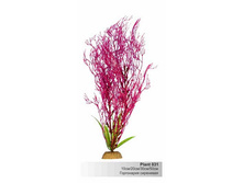 ���������� ���������