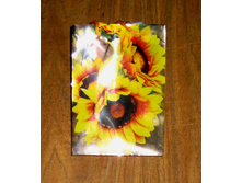 ����� �����������, ������� "����������" ���� 15���/��.