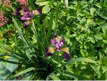 �������� �� ������+(���)