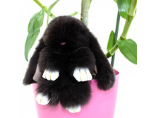 ������ "������� ������" 19 �� (����������� ���) ������