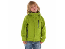 1936 ������ ��� �������� ����: ����� ����������� 1950 ���.