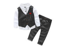 ������ Kimocat Grey Point 1140�.  120(104-110)
