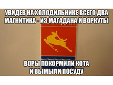 16003119 191365071332748 3155717189786612899 n.jpg