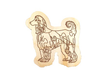 ���� ���������� ��������� ������