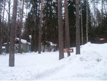 ������ ������