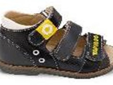 FT-26006.17-OL12O.01