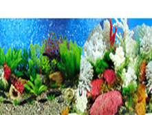 ����������� ��� No006 ������� ������������� 9019/9029 40��/15�