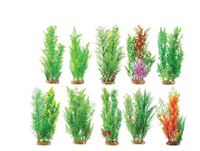 ���������� �� ����������� �������� �� ������ �� ������ 40 ��, � �������� 10 ������ �����.