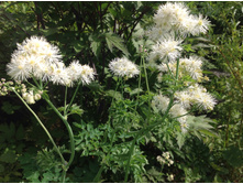 ����������� �����