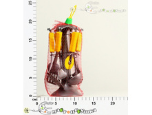 �543 ��� 106,00.jpg