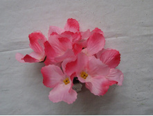 18-249 ������� "���������"12*6 ��., �������, �����, ������� 12,5�