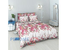 5577-1 ��� ������ ����� ���� ��������