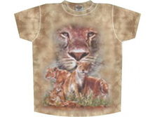 �������� ����� ���� TD172 S M.jpg