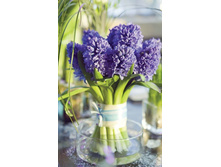 ����� ����������� ����� - M-8-27