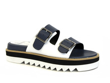 W2262-X06-2 00000045527.jpg