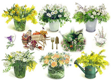 ����� �������.jpg