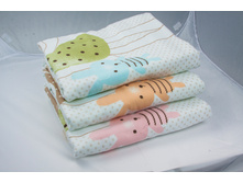 ���� ������ 2001226.jpg