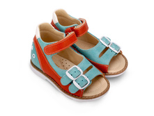 FT-26001.17-OL35O.01