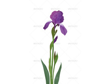 ��������� �����