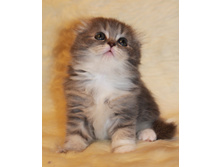 IMG 9856 ? �����.JPG