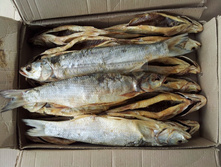 ����� ������� 250�/��