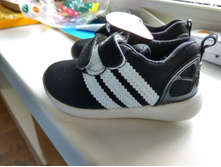 IMG 20170131 124816 HDR.jpg