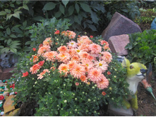 ���������� �����������