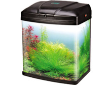 �������� � �������+���������+������� ����������(TOP filter)+����� �����-���