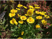 ��������� ���� ������