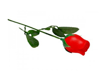 ������� "����" � ���������� 32�� ������: 2312 ������: ����� 32�� ����: 62.00 �.