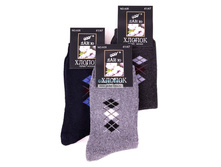 ����� ������� "����" (�����) No�35 (12/302)  23.4 ���.