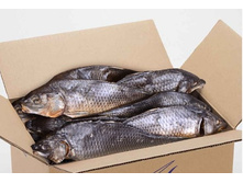 ���� �������  150�/��