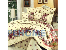 �28 ��� ����� +����� ������