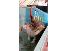 IMG 20160503 182624.jpg