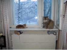 ���� � �������� 051.jpg