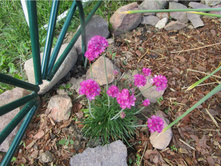 ������� ����������