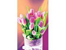 ����� ����������� ����� - M-8-1