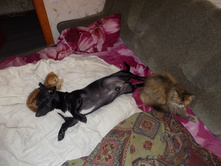 ���� � �������� 050.jpg