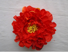 18-236 ������� "����" 18 ��., �������, �����, ������� 33�