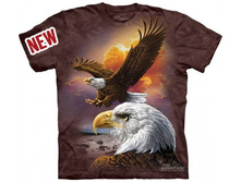 3� �������� � ����� XXL.jpg