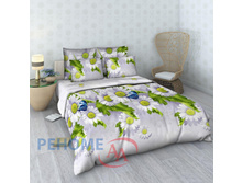 162 ��� ������ ���� ������ ��������