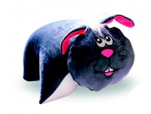 57-016 13��01�� ������������ ������� ����������.jpg