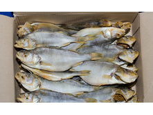 ����� �������  120�/��