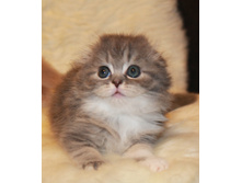 IMG 9905 ? �����.JPG