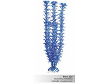 ������� ����� �������