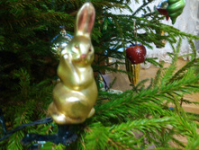 IMG 20170102 145525.jpg