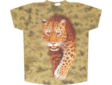 �������� � ��������� TD 214 S M L XL.jpg