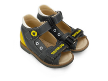 FT-26003.17-OL12O.01